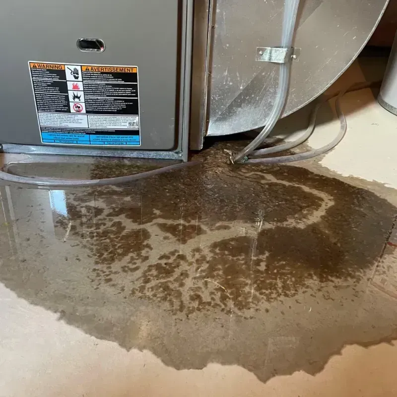 Appliance Leak Cleanup in Bull Shoals, AR